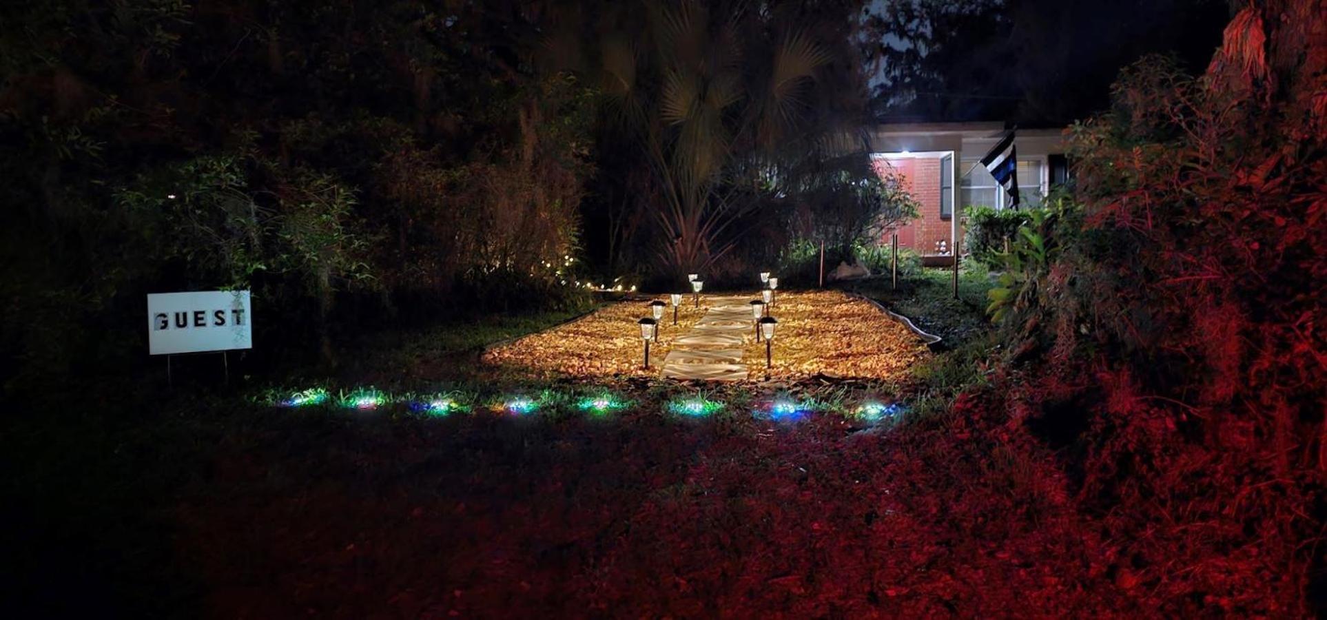 Jungle Oasis By Busch Gardens Usf And Amphitheater Apartment Tampa