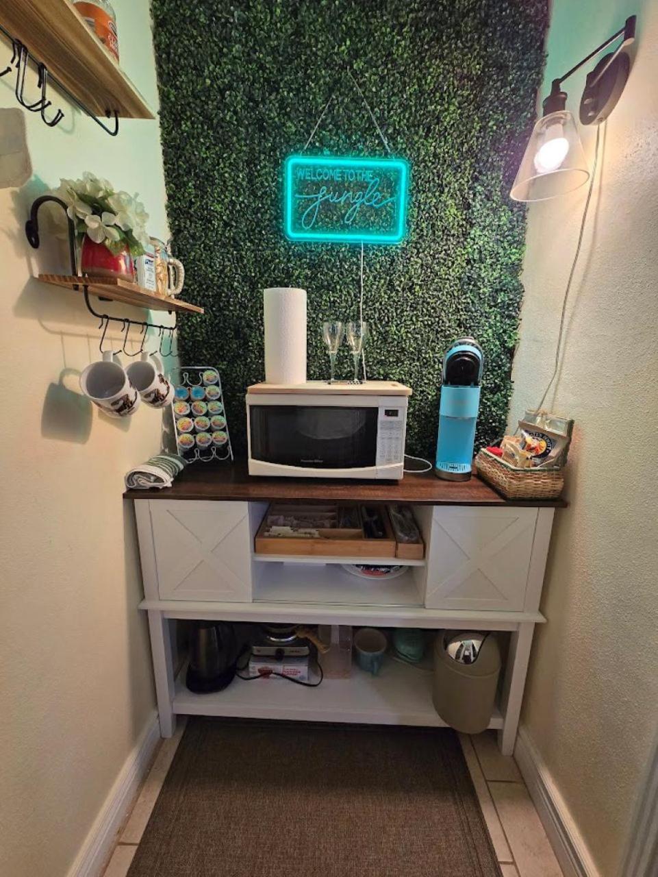Jungle Oasis By Busch Gardens Usf And Amphitheater Apartment *